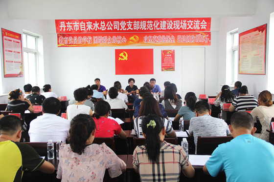 黨支部規(guī)范化建設(shè)交流_副本